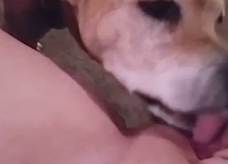 POV zoo XXX with lots of licking and close-ups