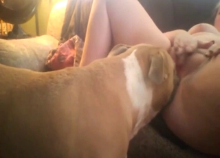 Hot zoo porn movie with a lady licked by a dog