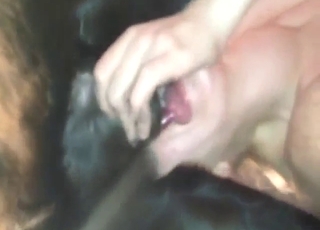 Lady parts worshipped by a sexed-up doggo