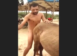 Beach bang with a dude and his slutty mare date