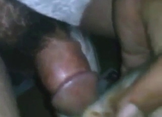 Hairy penis of a hot zoophile used for fucking