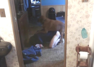 Phat booty guy gets fucked by his horny dog