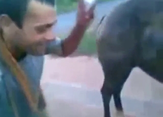 Horny guy dealing with sexy beast with great tits