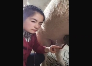 Chinese worker is happy to fuck a pig on cam