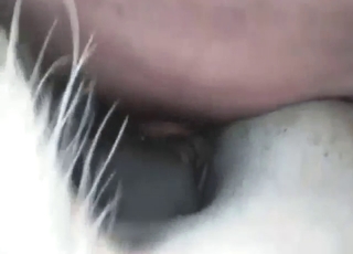 Mare-fucking motherfucker is going to gape