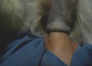 Deep powerfuck session with a slutty beast