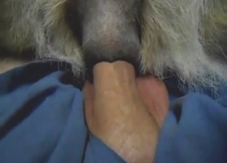 Deep powerfuck session with a slutty beast