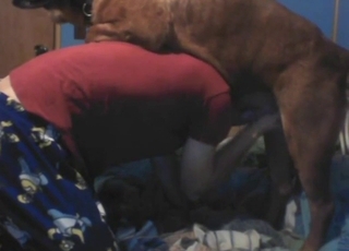 Brown beast with a cock wants to bend over a guy