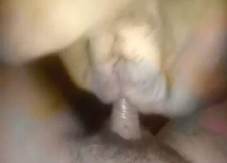 Cow-fucking motherfucker is ready to gape