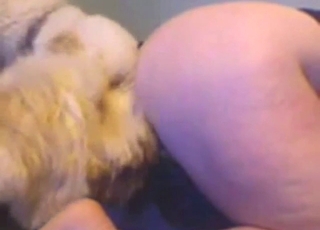 Shades-wearing older hottie has two dogs