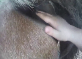 Rimjob for a horny horse that needs those lips