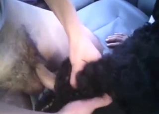 Hot guy fucking a slutty dog pretty hard