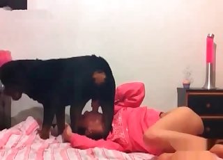Aggressive mutt fucked a wide opened gullet