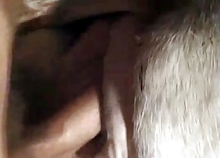 Awesome doggy style sex with my cow