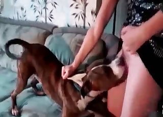 Shy girl is making out with her beautiful little doggo