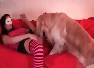 Doggy is tonguing her fresh pussy