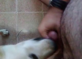 Shameless dude is masturbating off in front of his sexy doggy style